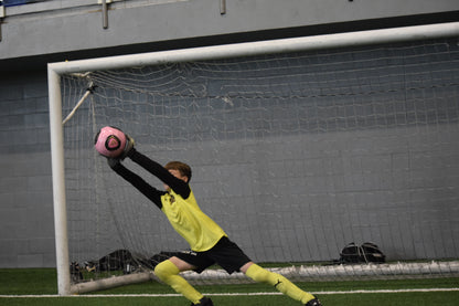 Goalie Warz Camp